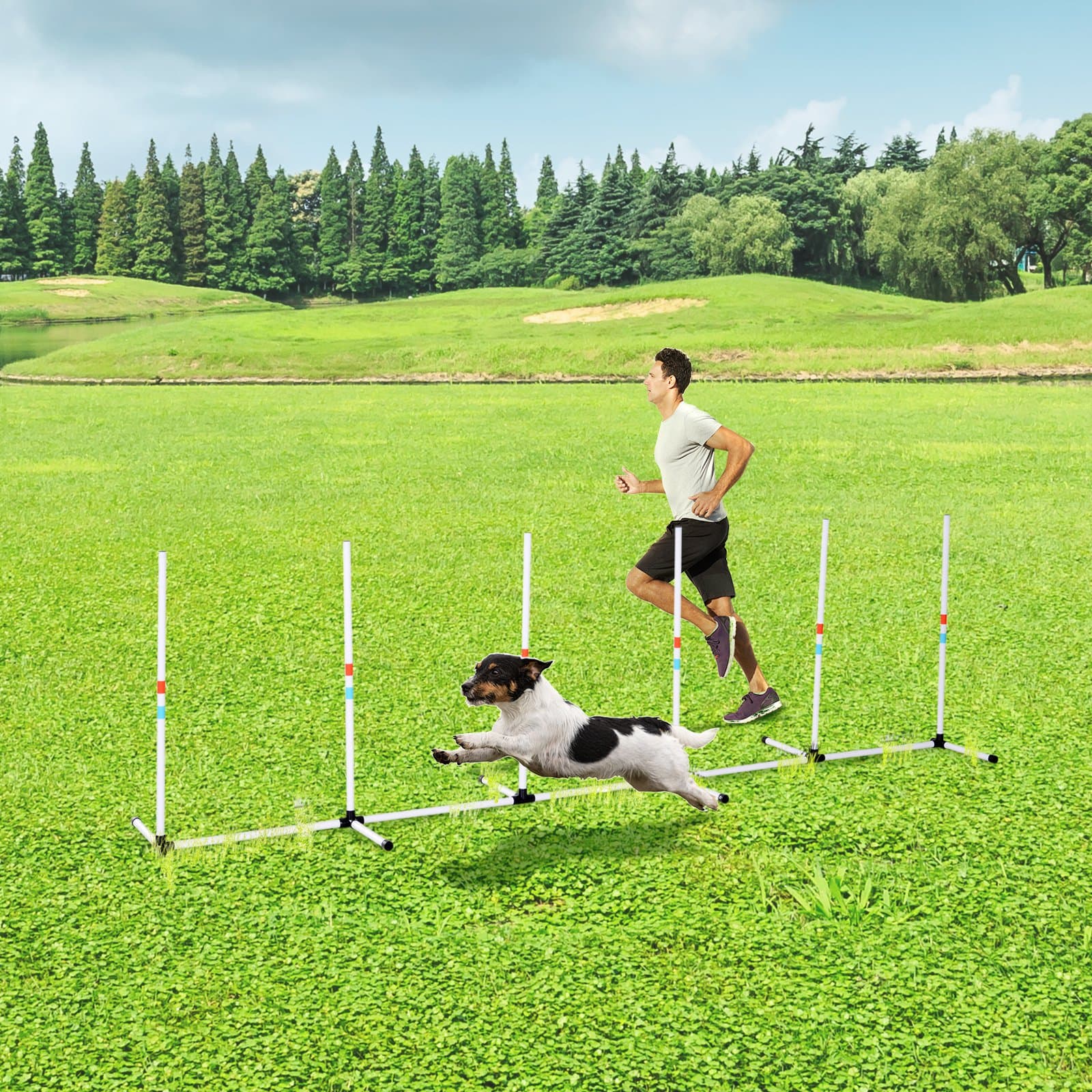  Sturdy Dog Weaves Poles Pet Speed and Agility Equipment Dogs Obstacle Outdoor w/ Storage Bag